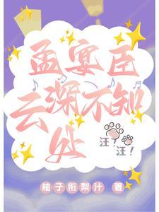 孟宴臣结局是什么