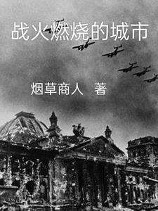 战火燃烧电视剧全集