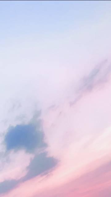 玫瑰雾来白景鸿笔趣阁