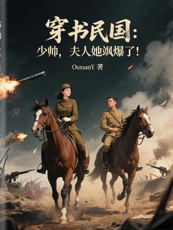 穿书之民国少帅夫人