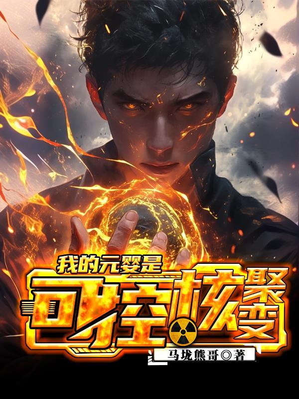 我的元婴是可控核聚变张帅