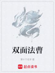 双面法曹